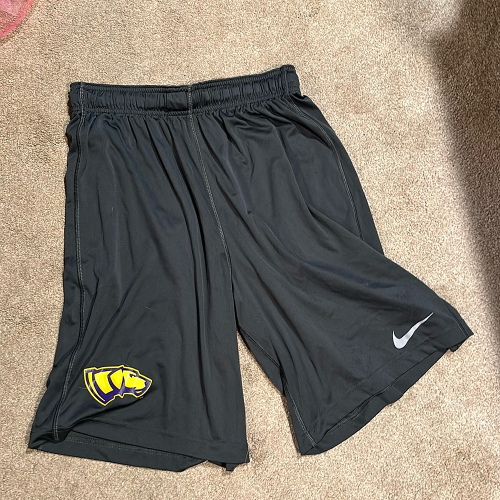 Nike Dri Fit Basketball Shorts
